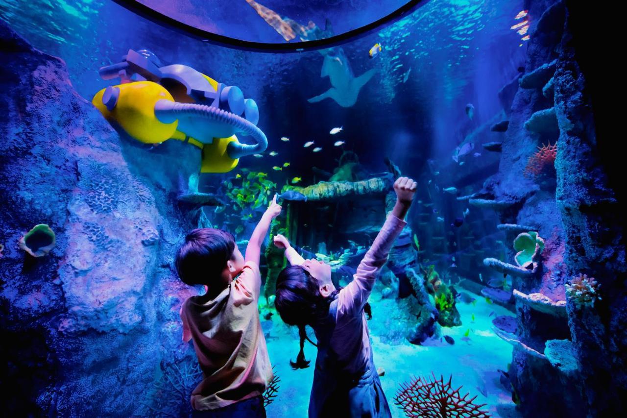 Legoland Malaysia Hotel Nusajaya  Exterior foto Aquarium at the National Museum of Natural History